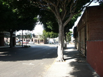 Enlarge photo 165