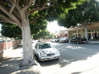 Enlarge photo 65