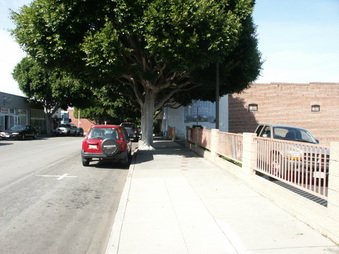 Enlarge photo 69