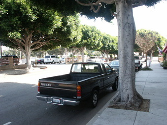 Enlarge photo 79