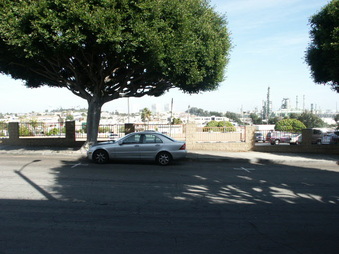 Enlarge photo 83