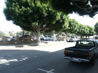 Enlarge photo 84