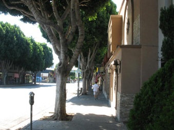 Enlarge photo 17