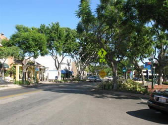 Enlarge photo 16