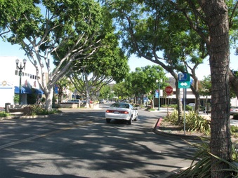 Enlarge photo 17