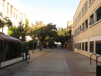 Enlarge photo 24