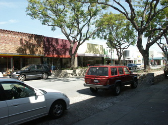 Enlarge photo 63