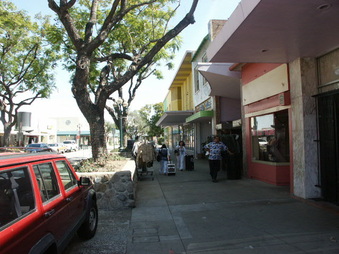Enlarge photo 64