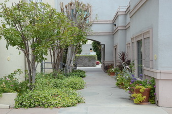 Enlarge photo 75