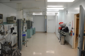 Enlarge photo 29