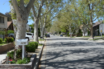 Enlarge photo 11