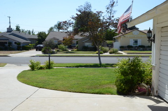 Enlarge photo 11