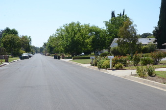 Enlarge photo 53