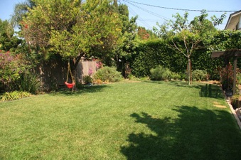 Enlarge photo 40