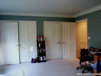 Enlarge photo 53