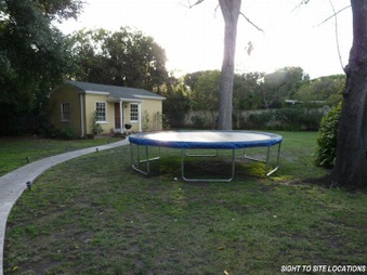 Enlarge photo 59