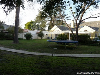Enlarge photo 60