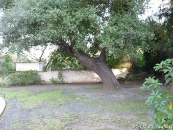 Enlarge photo 63