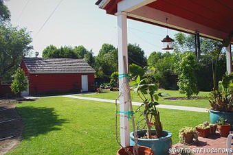 Enlarge photo 42