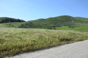 Enlarge photo 2