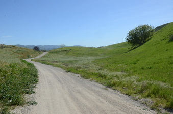 Enlarge photo 5