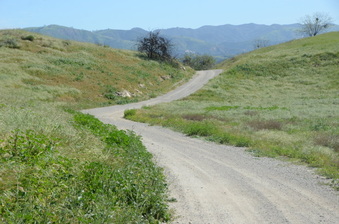 Enlarge photo 6