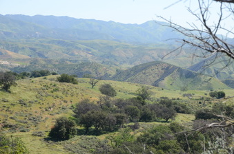 Enlarge photo 8