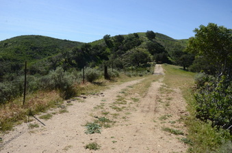 Enlarge photo 10