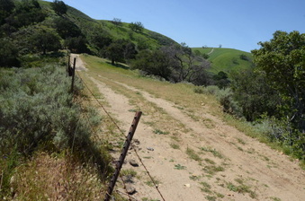 Enlarge photo 11