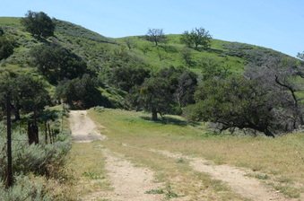 Enlarge photo 12