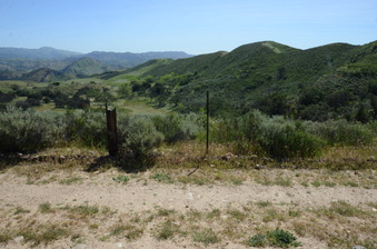 Enlarge photo 13