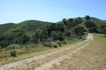 Enlarge photo 14