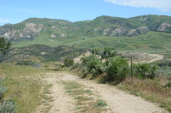 Enlarge photo 21