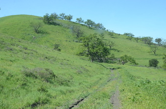 Enlarge photo 23