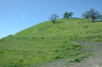 Enlarge photo 24