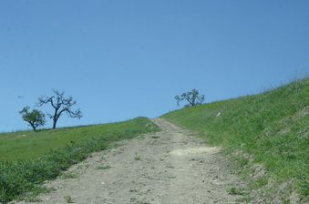 Enlarge photo 25