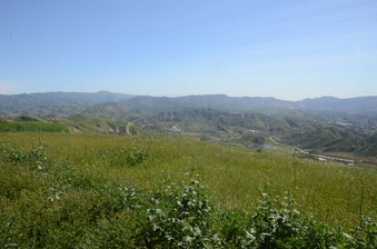 Enlarge photo 27