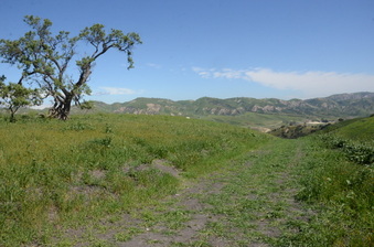 Enlarge photo 30