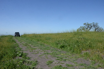 Enlarge photo 31