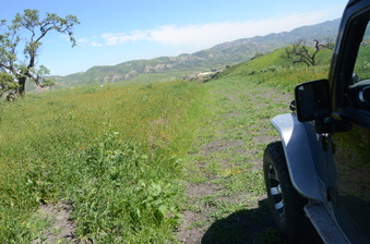 Enlarge photo 35