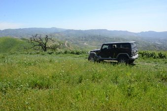 Enlarge photo 38