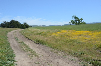 Enlarge photo 43