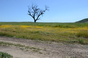 Enlarge photo 44