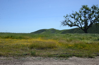 Enlarge photo 45