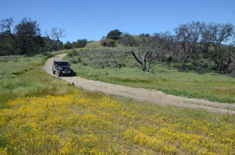 Enlarge photo 46