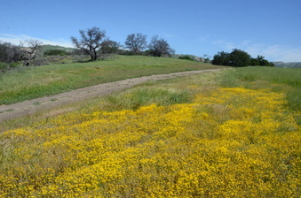 Big Sky Ranch -south ranch roads