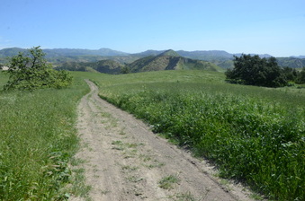 Enlarge photo 50