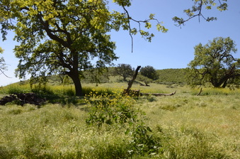 Enlarge photo 52