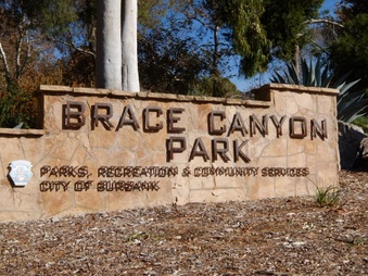 BRACE PARK