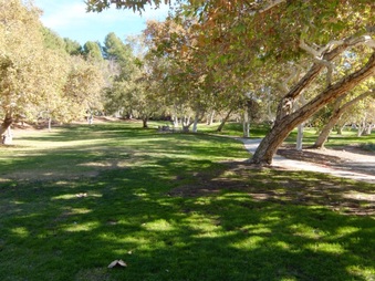 Enlarge photo 2